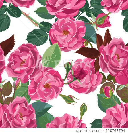Seamless pattern of pink roses 110767794