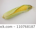 corn for photography 110768187
