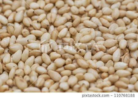 Roasted sesame Roasted sesame 110768188