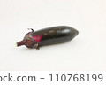 Photography eggplant 110768199