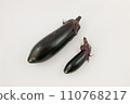 Photography of eggplant and small eggplant 110768217