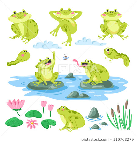 Tadpoles, frogs, flora and fauna illustration set 110768279