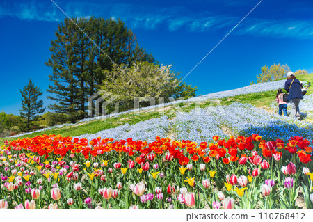 National Sanuki Mannou Park Tulip Field National Sanuki Mannou Park Tulip Field 110768412