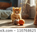 Ginger kitten 110768625