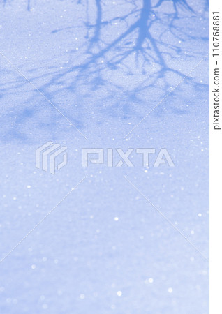 樹影倒映在閃閃發光的雪地上。 110768881