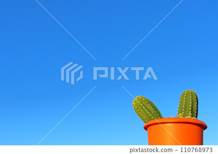 Sandalwood potted plant Sandalwood potted plant 110768973