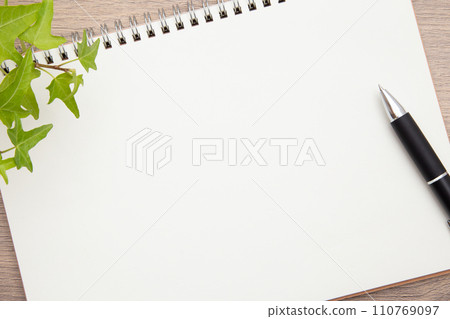 桌子上有一個筆記本和一支圓珠筆 桌子上有一個筆記本和一支圓珠筆 110769097