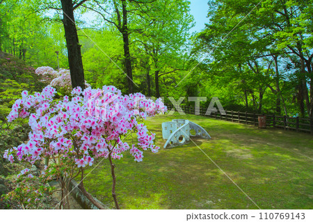 Nature of Toryo Park, Tadotsu Town, Nakatado District, Kagawa Prefecture Nature of Toryo Park, Tadotsu Town, Nakatado District, Kagawa Prefecture 110769143