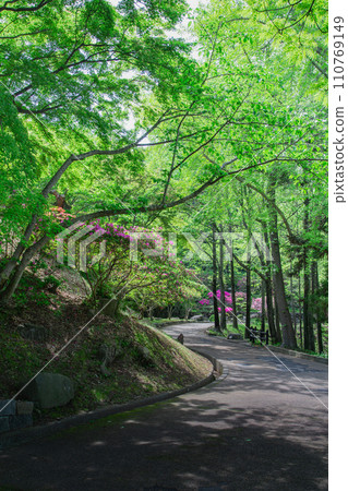香川縣中多戶郡多度津町通靈公園的自然 香川縣中多戶郡多度津町通靈公園的自然 110769149