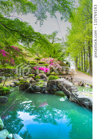 Nature of Toryo Park, Tadotsu Town, Nakatado District, Kagawa Prefecture 110769163