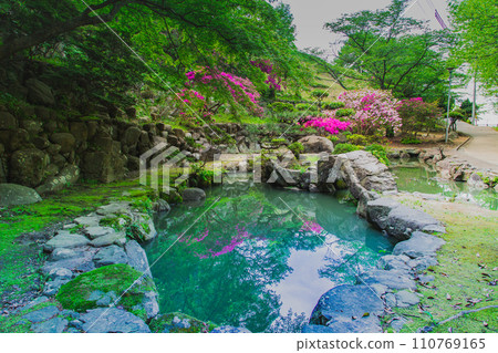 香川縣中多戶郡多度津町通靈公園的自然 110769165