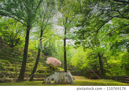 Nature of Toryo Park, Tadotsu Town, Nakatado District, Kagawa Prefecture 110769176
