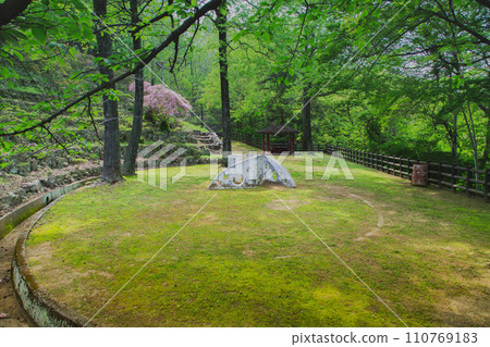 香川縣中多戶郡多度津町通靈公園的自然 香川縣中多戶郡多度津町通靈公園的自然 110769183