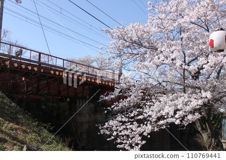 大阪府漢南市山中溪站附近的櫻花景色 大阪府漢南市山中溪站附近的櫻花景色 110769441