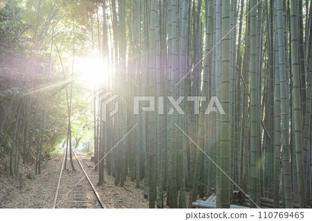 Kurayoshi Line rails shining in the morning sun Kurayoshi Line rails shining in the morning sun 110769465