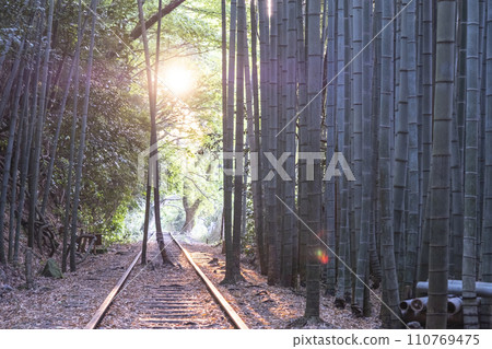 Kurayoshi Line rails shining in the morning sun 110769475