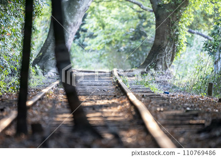 倉吉線鐵軌在清晨的陽光下閃閃發光 110769486