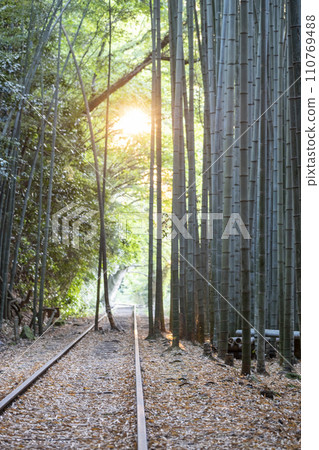 Kurayoshi Line rails shining in the morning sun 110769488