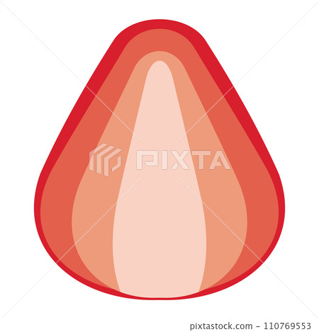 簡單可愛的草莓橫切面插圖（平面設計） 110769553