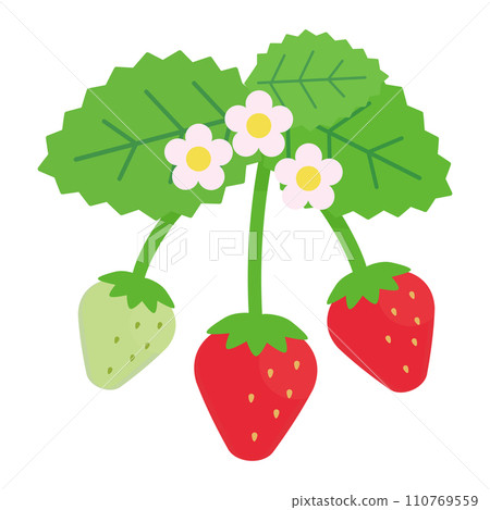 簡單可愛的草莓葉花插畫（平面設計） 110769559
