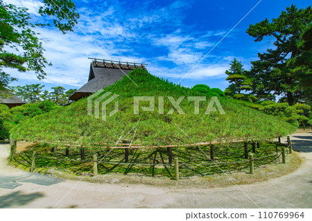 香川縣丸龜市中津萬松園 香川縣丸龜市中津萬松園 110769964