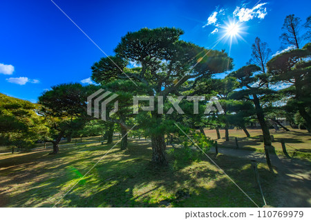 香川縣丸龜市中津萬松園 110769979