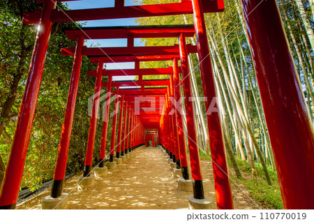 香川縣丸龜市中津萬松園 香川縣丸龜市中津萬松園 110770019