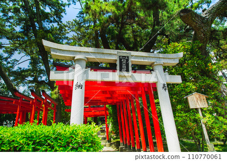 香川縣丸龜市中津萬松園 香川縣丸龜市中津萬松園 110770061