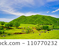 Blue skies and vast pastures 110770232
