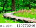 A promenade where linden flowers bloom 110770246
