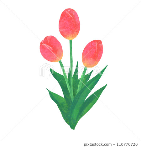Simple tulip watercolor illustration Simple tulip watercolor illustration 110770720