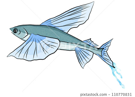 會飛的飛魚的插圖 110770831
