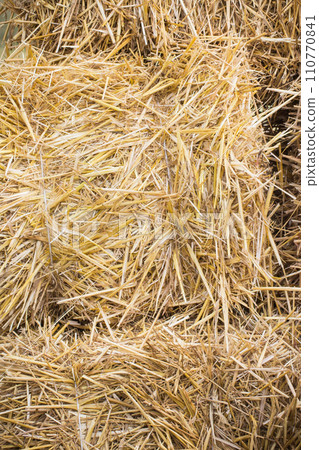 Bales of hay or straw. Background or wallpaper texture Bales of hay or straw. Background or wallpaper texture 110770841