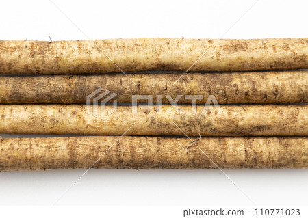 Burdock on a white background Burdock on a white background 110771023