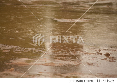 Mud Texture in the fields 110771086