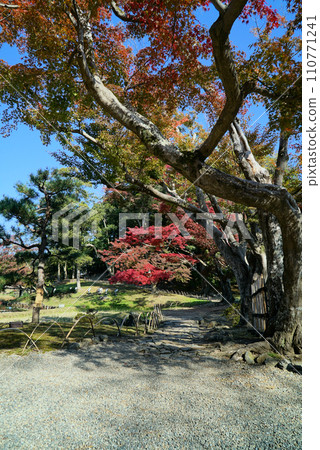 藍天與玄宮園的秋景 110771241