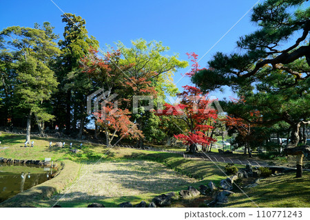 Blue sky and Genkyuen autumn scenery Blue sky and Genkyuen autumn scenery 110771243