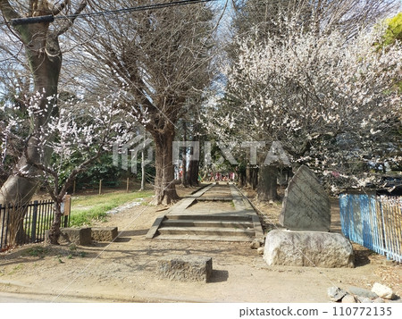 Tenjin narrow path (Kawagoe City, Saitama Prefecture) 110772135