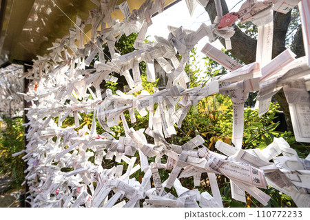 the Omikuji sheets that predict one's future outside a temple in Tokyo, Japan the Omikuji sheets that predict one's future outside a temple in Tokyo, Japan 110772233