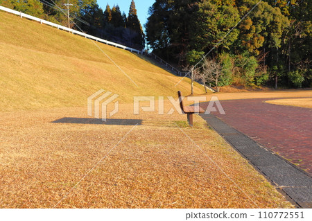 Park bench 110772551