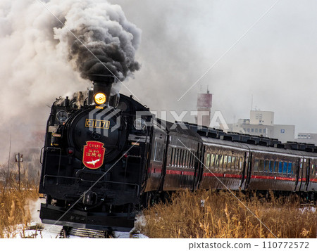 SL冬季濕地 110772572