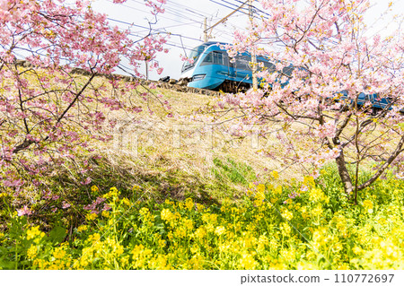 Saphir dancer departing from Kawazu Station Saphir dancer departing from Kawazu Station 110772697