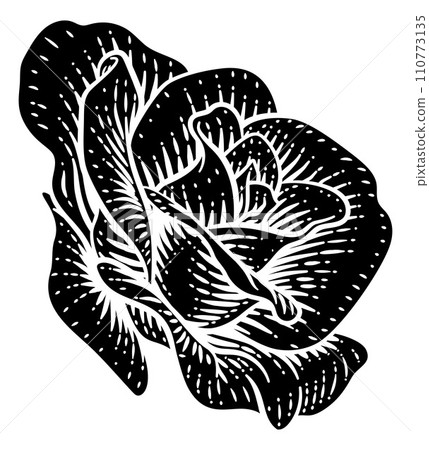 Rose Flower Design Woodcut Vintage Retro Style Rose Flower Design Woodcut Vintage Retro Style 110773135