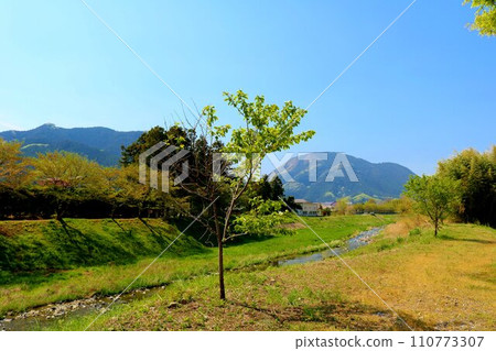 Landscape with mountains and rivers, spring countryside 110773307