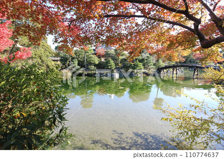 Kyoto Shoseien Snow Bridge, Ingetsu Pond and autumn leaves 110774637