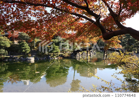 Kyoto Shoseien Snow Bridge, Ingetsu Pond and autumn leaves 110774648