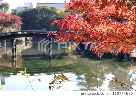 Kyoto Shoseien Snow Bridge, Ingetsu Pond and autumn leaves 110774650