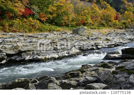 A valley of autumn leaves near the southern end of Nagatoro Iwatatami and the rapids of the Arakawa River. 110775136