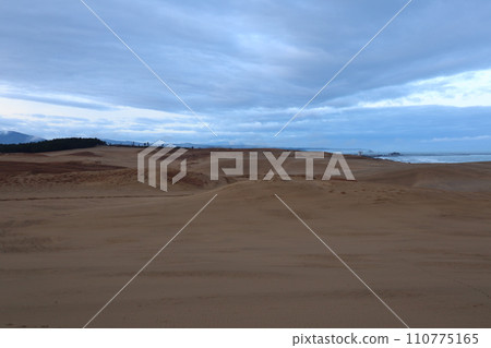 Tottori Sand Dunes, a symbol and natural monument of Tottori Prefecture 110775165