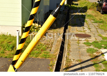 住宅區的黃桿 110776024